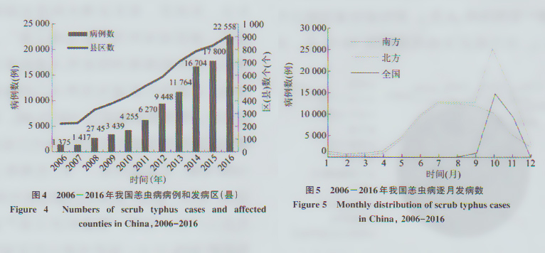 图4 我国恙虫病病例和发病区 图5 我国恙虫病逐月发病数